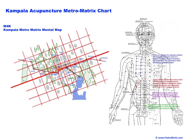 Uganda Kampala Urban Metropolitan Master Plan Metro Matrix acupuncture