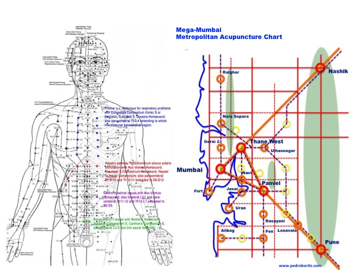 Pedro Ortiz Mumbai acupuncture chart Metro-Matrix Mental Maps